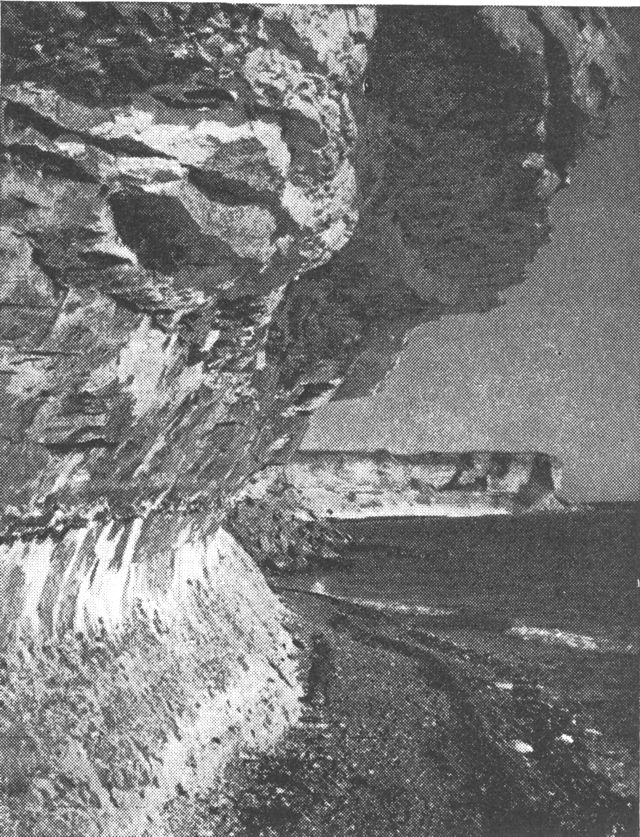 (Foto). Stevns klint. I forgrunden ses klintens »amboltprofil«: det bløde skrivekridt forneden er slidt af havet, den faste limsten luder ud foroven.Fot. Jonals.
