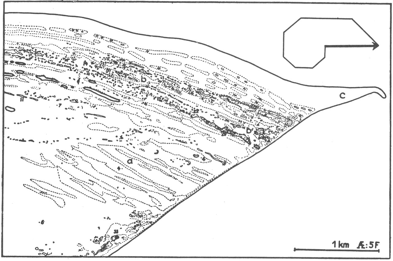 (Kort). Marin odde opbygget af strandvoldssletter, Skagens odde, N.-Jylland.a. Strandvoldsslette. b. Klitter på strandvoldsterræn. c. Oddespidsen, Grenen, hvis hovedretning er betinget af bølgefronternes marchretning, der igen bestemmes af vindforholdene. Vindvirkeresultant (se s. 58) for Skagens fyr indsat. Kurveafstand: 5 fod. Højdetal i fod. Efter Atlas over Danmark.