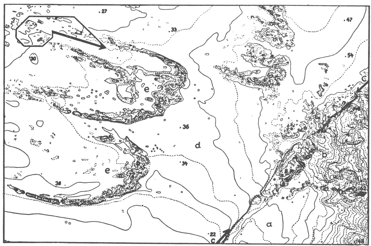 (Kort). Parabelklitter, Svinkløv-egnen, N.-Jylland.a. Morænelandskab. b. Flyvesandsterræn i morænelandskab. c. Hævet klintekyst fra stenalderen. d. Hævet marint forland. e. Parabelklitter, der vandrer i en retning, som bestemmes af vindforholdene. Indsat: vindvirkeresultant beregnet for Hanstholm fyr. Kurveafstand: 5 fod. Højdetal i fod. Efter Atlas over Danmark.