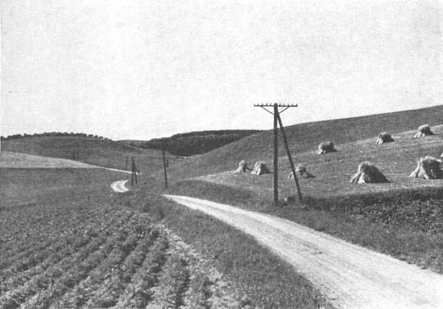 (Foto). Ungt morænebakkeland på Mols (omkring vejen Egsmark-Lyngsbæk-Femmøller).Fot. K. M. Eriksen.