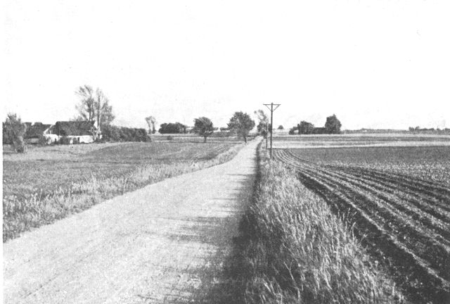 (Foto). Moræneflade mellem Strølille og Sigerslevøster (nordøst for Frederikssund).Fot. K. M. Eriksen 1953.