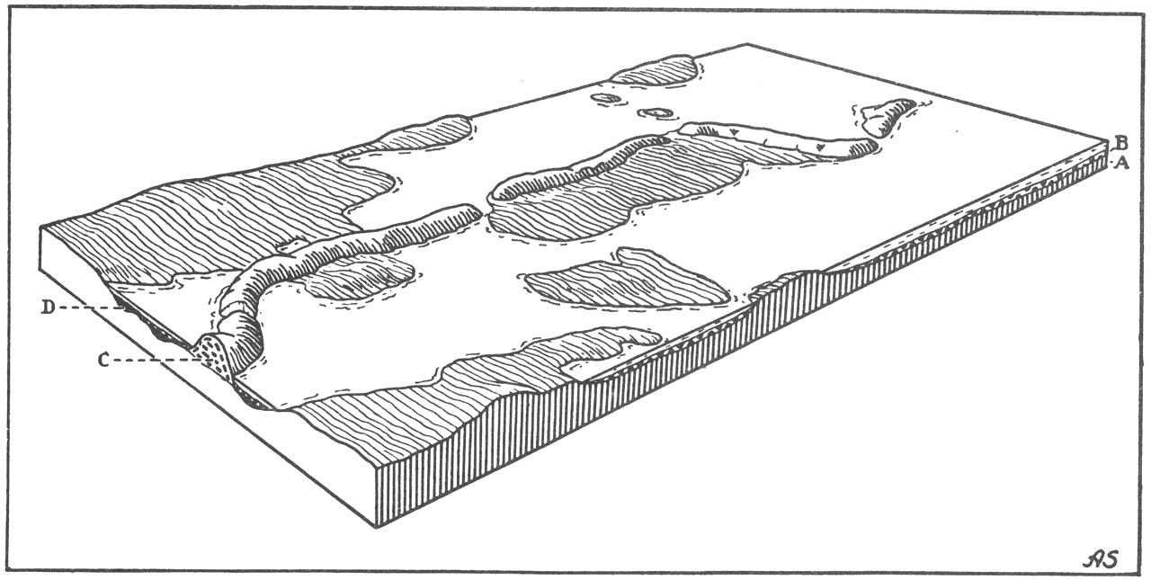 (Kort). III. Transgressions-stadium under stenalderens havstigning. A. Moræne. B. Havbundsaflejringer. C. Lagdelt sand og grus. D. Tørv.