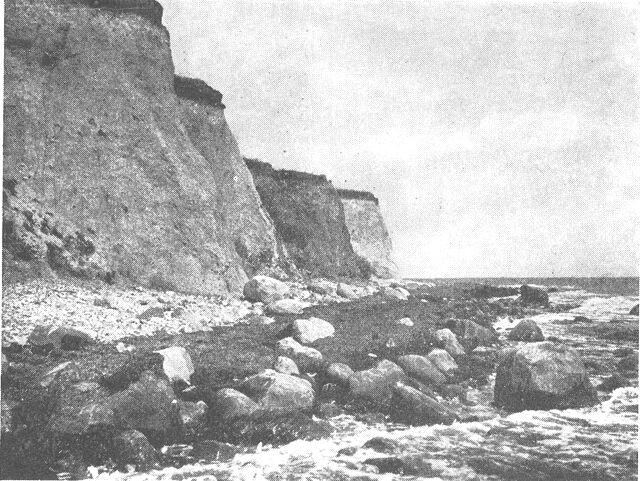 (Foto). Moræneklint (Vejsnæs Nakke på Ærø). Ved klintens fod delvis tangdækkede mængder af små og store sten udvaskede af havet af nedstyrtningsmateriale fra klinten.Fot. H. Lykke.