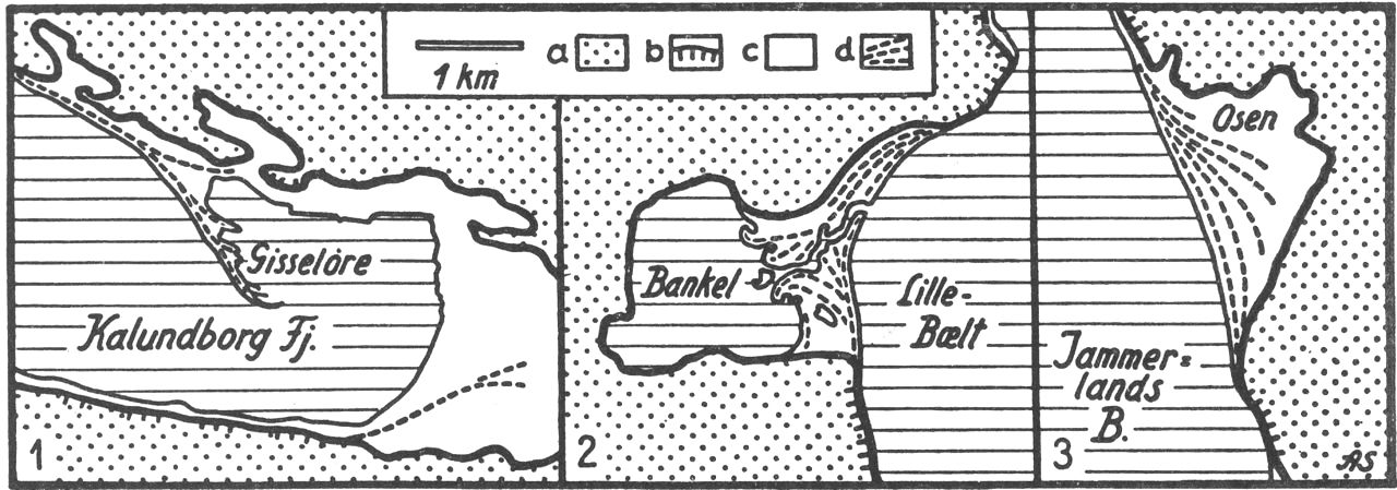 (Kort). Bugtluknings-stadier.1. Ungt stadium. Gisseløre odde i Vestsjælland vokser ud og danner en delvis spærring. 2. Modent stadium. Bankel lagunen i Sydjylland er effektivt afspærret og under udvikling til afspærringsforland ved tilgroning. 3. Gammelt stadium. Afspærringsforlandet Osen i Vestsjælland er en tilgroet lagune, og kystlinien er helt udlignet.a. Moræne. b. Kystklint. c. Marint forland. d. Strandvolde.Axel Schou del. Efter Atlas over Danmark.