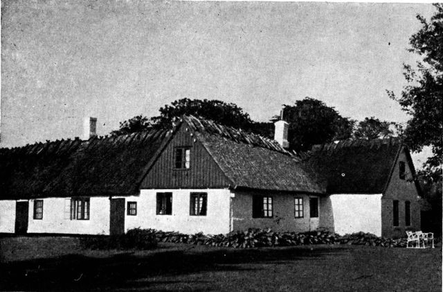(Foto). Bindingsværksgård fra 1700-tallets slutning (kvistudbygningen til højre nyere) i Dåstrup (syd for Roskilde). Gamle sjællandske gårde har spinkelt bindingsværk og er oftest helt hvidkalkede.Fot. Sv. Jespersen 1956.