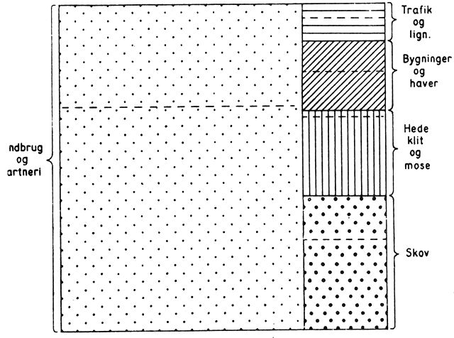 (). Arealets anvendelse 1951. Hvert felt er af en vandret, stiplet linie delt i to, hvoraf det nederste inden for hver af de angivne anvendelser repræsenterer Jylland og det øverste Øerne. Landbrug og gartneri udnytter 75% af landets overflade, skove og plantager dækker 10%, hede, klit og mose svarer til 7%, medens de resterende 8 % omfatter hele det bebyggede areal på land og i by, samt veje, jernbaner, sportspladser, kirkegårde, byggegrunde, haver, o.s.v.