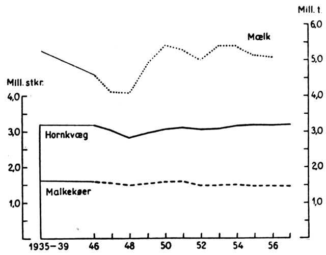 (). Bestanden af hornkvæg og malkekøer, samt mælkeproduktionen. 1935–39 og 1946 til 1957. (Julitællinger). Bestanden har været ret konstant, for hornkvægets vedkommende lidt over 3 mill. stkr., og for malkekøernes vedkommende har antallet svinget mellem 1,5 og 1,6 mill. stkr. Endvidere er vist den årlige mælkeproduktion. Den nåede 1950 op på førkrigsniveauet (godt 5 mill. tons) og har siden kun vist ringe tendens til større udsving.