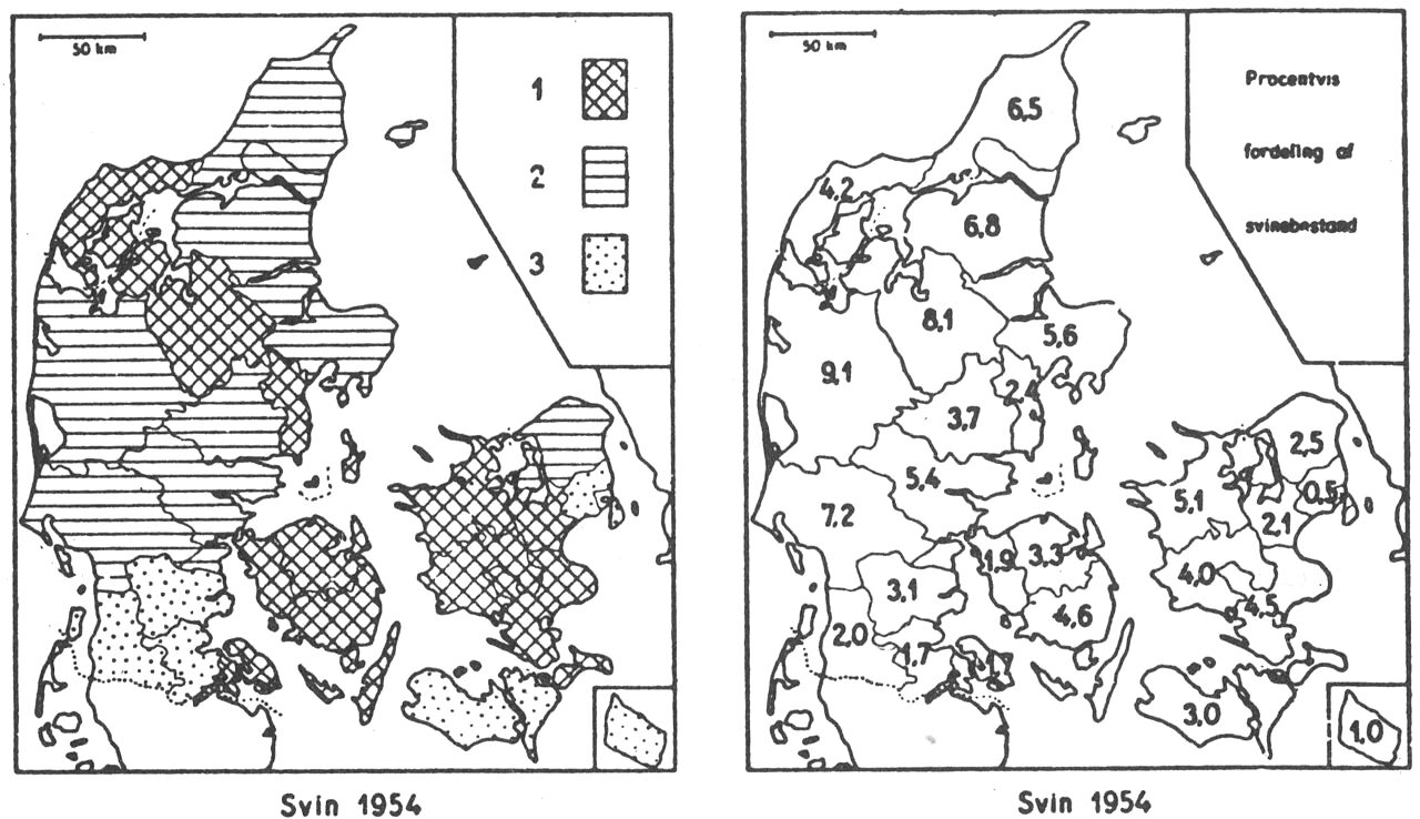 (Kort). Svineholdet i forhold til landbrugsarealet, samt den amtsvise fordeling. 1954. Kortet til venstre viser, hvor mange svin der findes pr. 100 ha landbrugsareal inden for hvert amt. Signatur 1. angiver 170 stkr. eller flere, 2 angiver 140–169 stkr. og 3. angiver 139 stkr. eller færre. 33% af svinene findes på Øerne og 67% i Jylland. Tallene på kortet tilhøjre angiver, hvilken procent af den samlede svinebestand der findes i det pågældende amt.