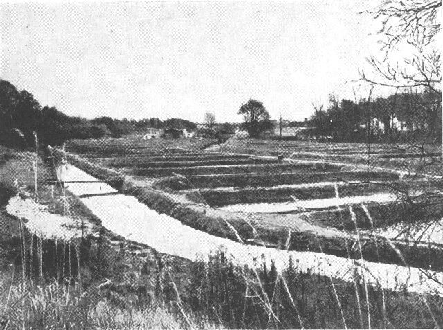 (Foto). Dambrug ved Hulkær vandmølle (ved Holsted nordøst for Ribe). Kompleks af aflange ørreddamme langs Holsted å.Fot. F. Dall Schmidt 1957.