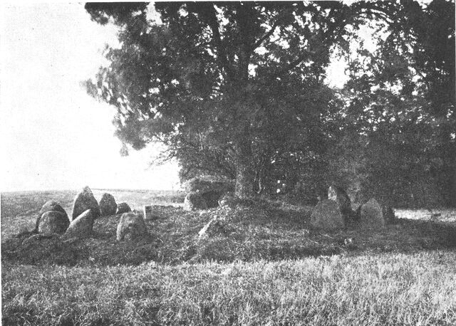 (Foto). Runddysse ved Kalø.Fot. Nationalmuseet.