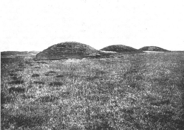 (Foto). Gruppe af bronzealderhøje (Tindbæk høje – mellem Randers og Viborg).Fot. Nationalmuseet.