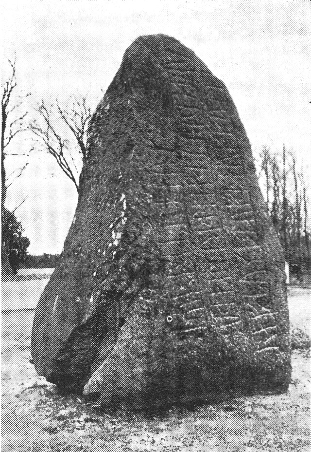 (Foto). Runesten (ca. 1,6 m høj) fra ældre vikingetid, nu rejst uden for kirkegården i Bække (Ribe amt) ikke langt fra den gamle jyske hærvej.Fot. F. Dall Schmidt 1957.