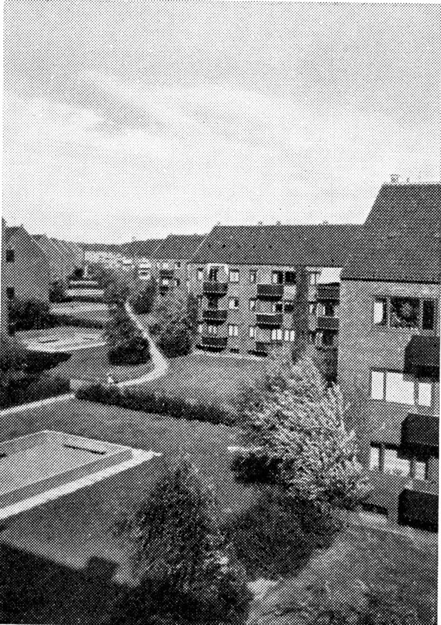 (Foto). Boligkomplekset Ryparken ved Lyngbyvej, opført i 1930erne, med lejligheder i fritliggende stokke.