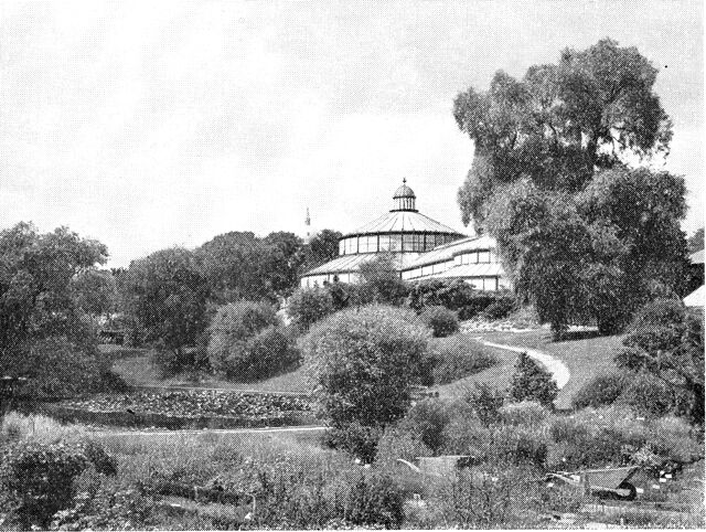 (Foto). Parti fra Botanisk Have med væksthusene.