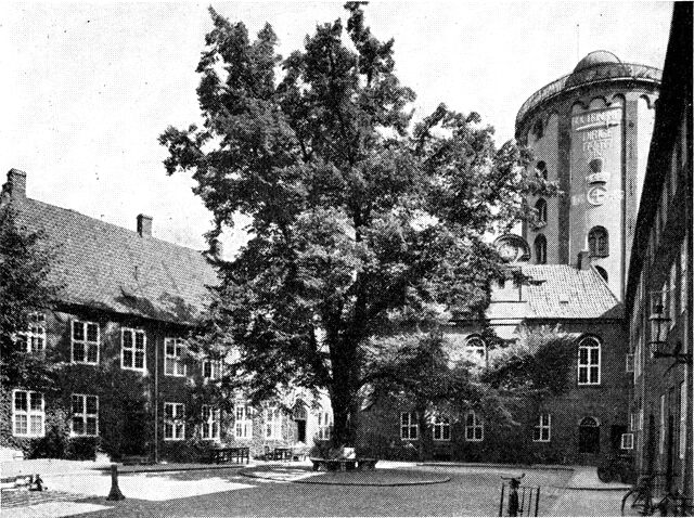 (Foto). Regensens gård, fotograferet før den gamle lind gik ud 1953. I baggrunden foran Rundetårn ligger kirkefløjen.