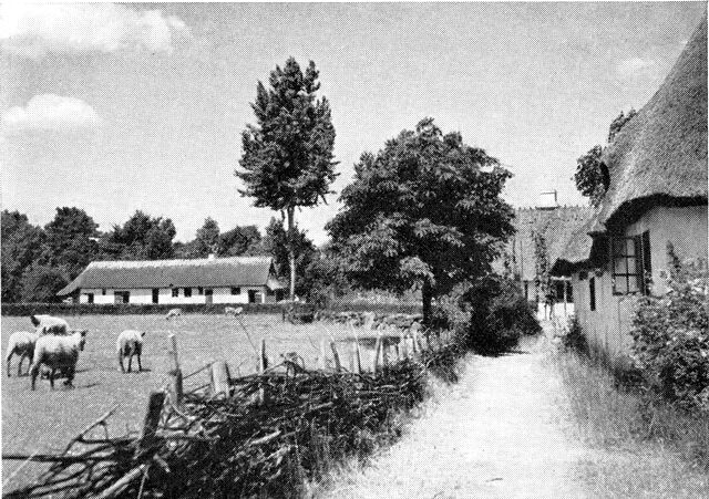 (Foto). Parti fra Frilandsmuseet (Nationalmuseets 7. afd.) med bygninger fra Lolland og Fyn.