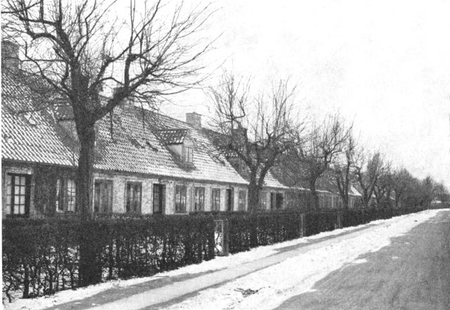 (Foto). Rækkehusbebyggelsen »Bakkehusene« på Bellahøj.