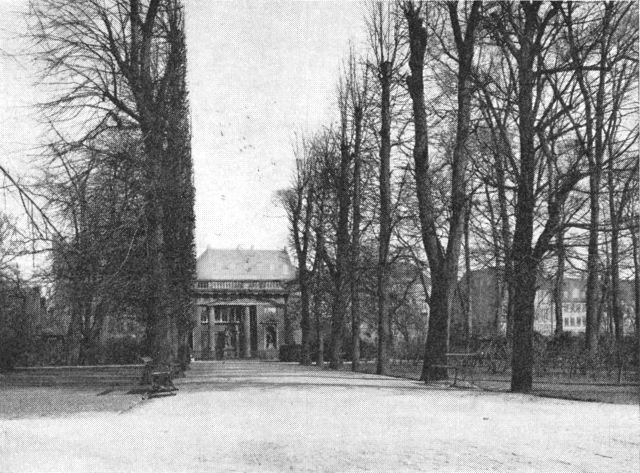 (Foto). Parti af den gamle lindeallé »Kavallergangen« i Rosenborg Have, set mod Herkulespavillonen for enden af alléen.