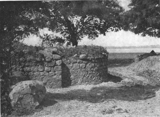 (Foto). Ruin af klosterkirken på Eskilsø.