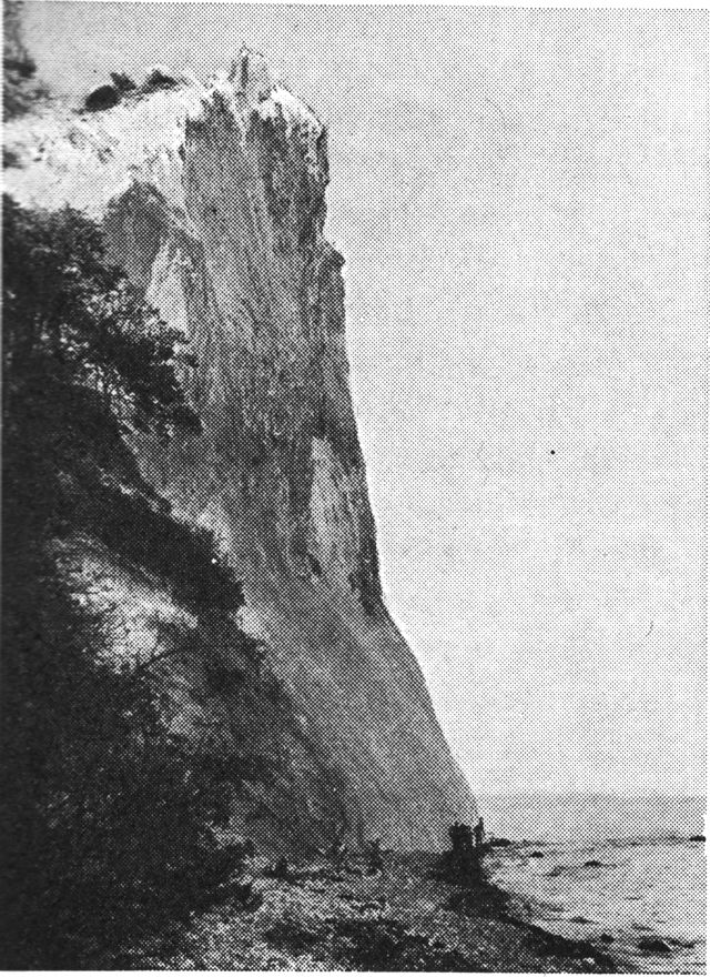 (Foto). Taleren, Møns klint.