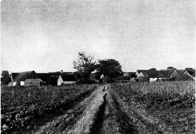 (Foto). Den nordøstlige, ældste del af Nyord by, set fra stien, der fører til færgelejet.