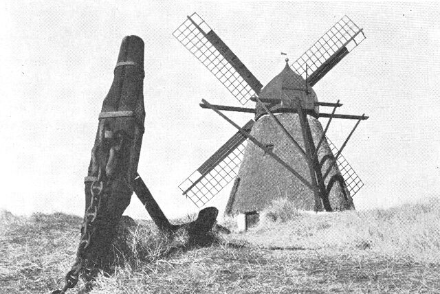 (Foto). Parti fra frilandsmuseet »Skagens Fortidsminder«.