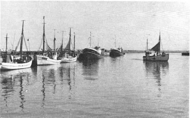 (Foto). Fiskekuttere i Hirtshals havn.