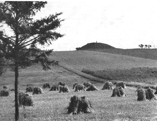 (Foto). Landskabsparti med fredlyst høj ved Skårup.