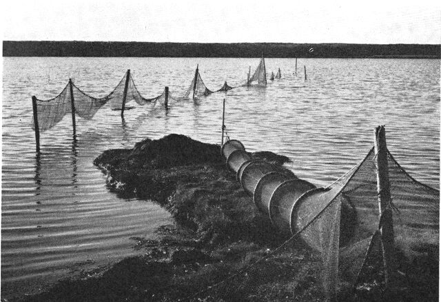 (Foto). Parti af Limfjorden ved Thyborøn.