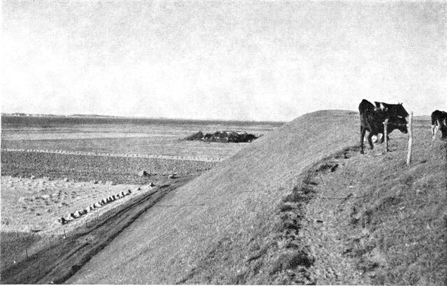 (Foto). Udsigt ved Nørholm over det flade forland (hævet havbund) ud mod Limfjorden – set fra bakkeskråning, der dannede stenalderhavets kyst.