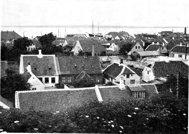 (Foto). Udsigt fra den gamle kystklint over den ældre del af Løgstør med havnen og Limfjorden i baggrunden.