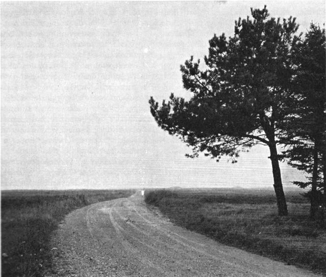 (Foto). Hedefladen nord for Kongenshus – med vejen fra Daugbjerg til Resen.