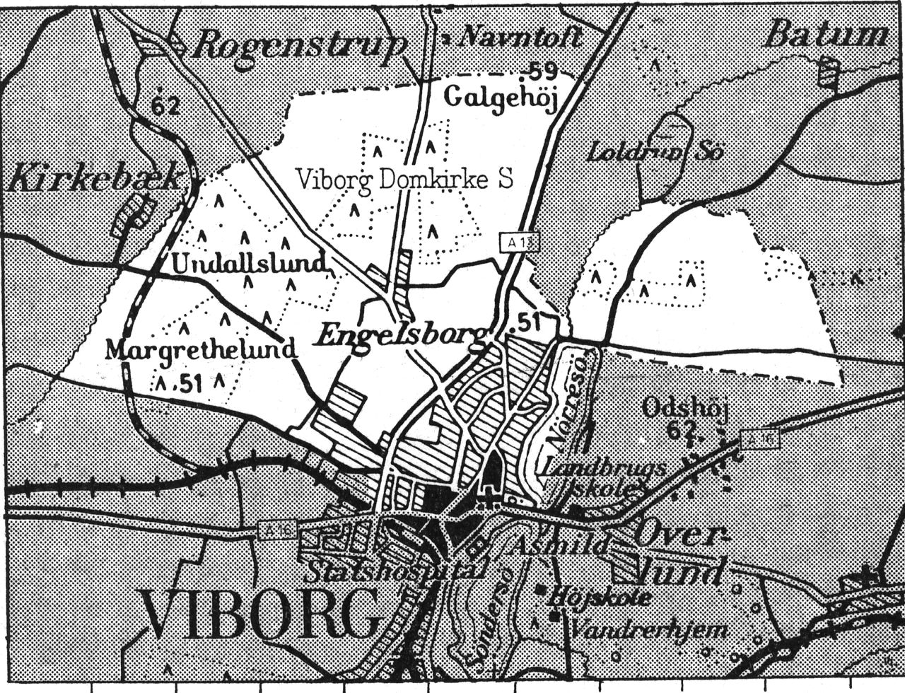 (Kort). Viborg Domsogn.