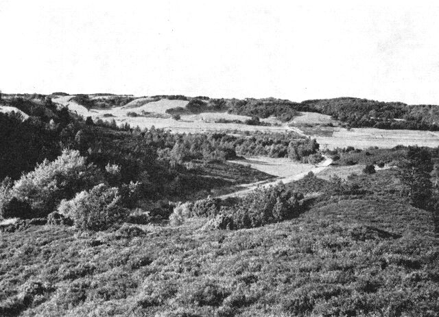 (Foto). Udsigt fra lyngbakker på Øby-»øen« mod nord over Nørreådalens nordlige arm.