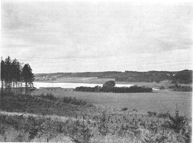 (Foto). Udsigt mod Alling sø fra sydøst. I krattet foran søen midt i billedet findes ruinerne af Alling kloster.