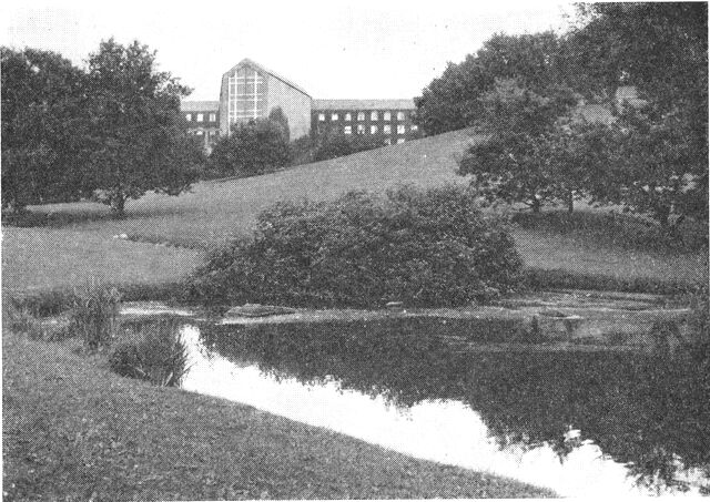 (Foto). Parti fra universitetsparken.