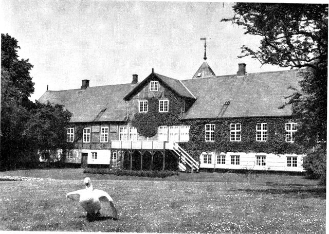 (Foto). Rodsteenseje. Hovedbygningen set fra haven.