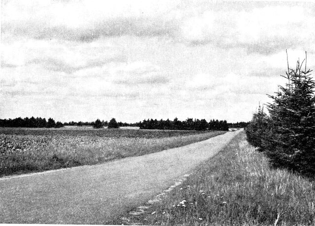 (Foto). Fra den opdyrkede hedeslette (med læhegn og nåletræer) nord for Ejstrup.