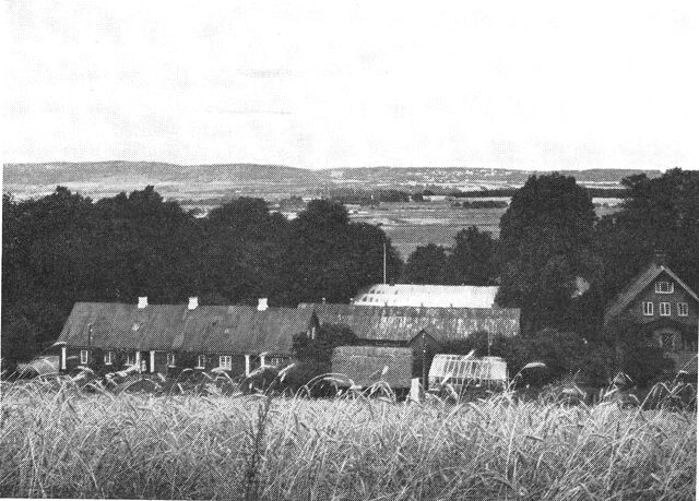 (Foto). Udsigt over Klostermølle og det flade land ved Mossø fra bakkedraget syd derfor.