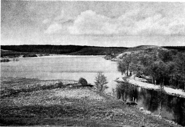 (Foto). Udsigt over den fredede Rørbæk sø fra vest.
