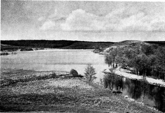 (Foto). Udsigt over den fredede Rørbæk sø fra vest.