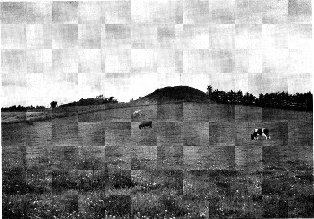 (Foto). Oldtidshøje nord for Boest.