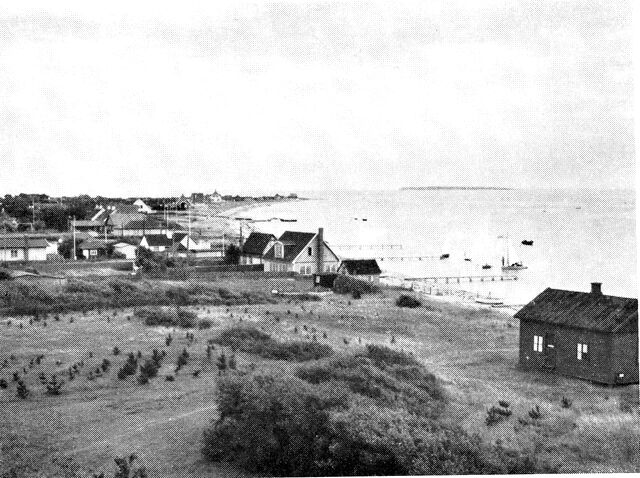 (Foto). Strandparti ved Juelsminde.