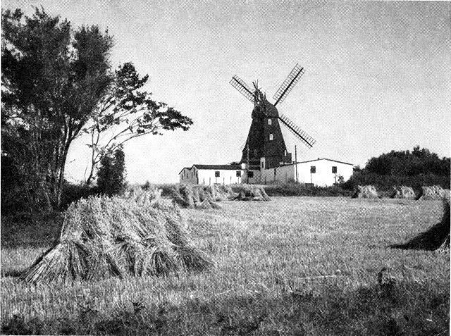 (Foto). Mølle ved Brund.