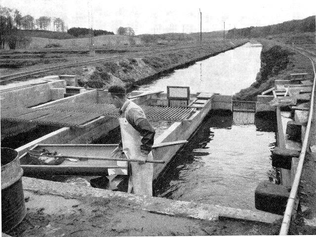 (Foto). Parti fra Vingsted dambrug.