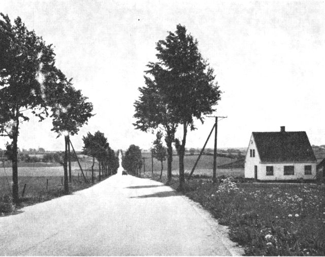 (Foto). Landevej fra Gårslev mod Fredericia. Typisk vej fra 1920erne.