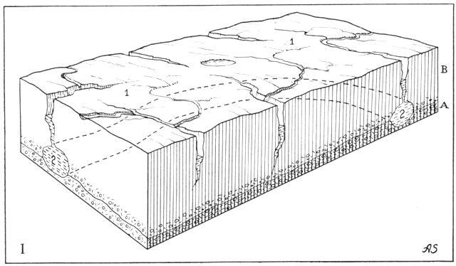 (tegning). I. Flyndersø-egnen i sidste istids slutfase. Området er endnu isdækket. 1. Gletscheroverflade i indlandsisens randzone med sprækker og smeltevandselve. 2. Tunneldal i isens bundlag og den underliggende moræne, udgravet af de rivende smeltevandsstrømme. A. Bundmoræne. B. Gletscheris. – Blokkanter: 3 × 5,5 km. Længste kants retning: NV – SØ. Blokdiagrammet og de tre efterfølgende efter Atlas over Danmark, bd. I, Landskaberne. Axel Schou del.