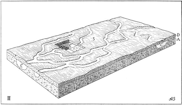 (tegning). III. Flyndersø-egnen på et sent stadium af afsmeltningstiden. 5. En hedeslette, Hjelm Hede, er dannet oven på dødislandskabet af sydfra kommende smeltevandsstrømme, som på dette stadium har fundet afløb til Limfjorden. A. Bundmoræne. C. Dødsisklump. D. Smeltevandssand, som opbygger hedesletten. – Forgrenede smeltevandselve med vekslende løb danner et net over hedeslettens overflade som vidåerne på de islandske sandur i nutiden.