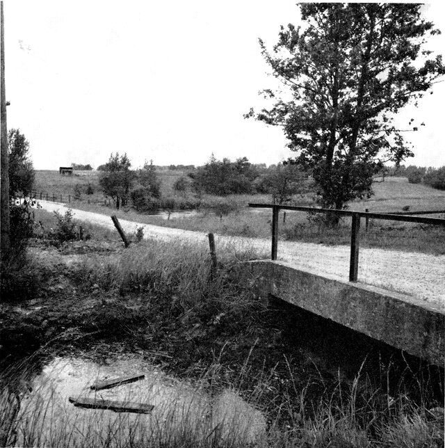 (Foto). Parti fra engene ved Skjern å øst for Sønder Felding med engvandingskanal i forgrunden.