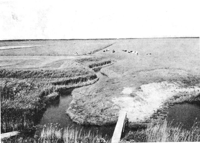 (Foto). Udsigt over marsken syd for Vester Vedsted – set fra havdiget mod øst. Vandløbet danner amtets sydgrænse og var rigsgrænse 1864–1920.